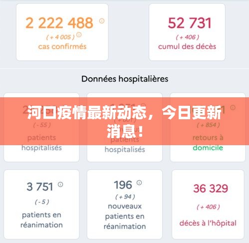 河口疫情最新動態(tài)，今日更新消息！