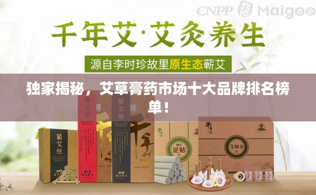 獨(dú)家揭秘，艾草膏藥市場十大品牌排名榜單！