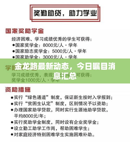 金龍路最新動(dòng)態(tài)，今日矚目消息匯總