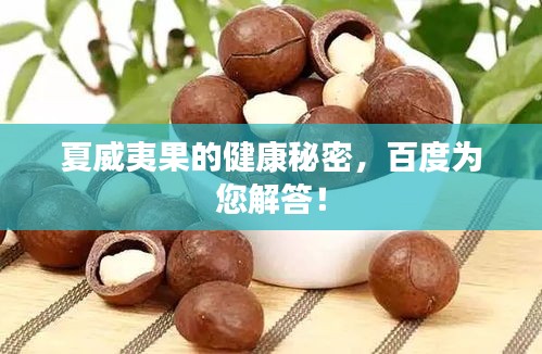 夏威夷果的健康秘密，百度為您解答！