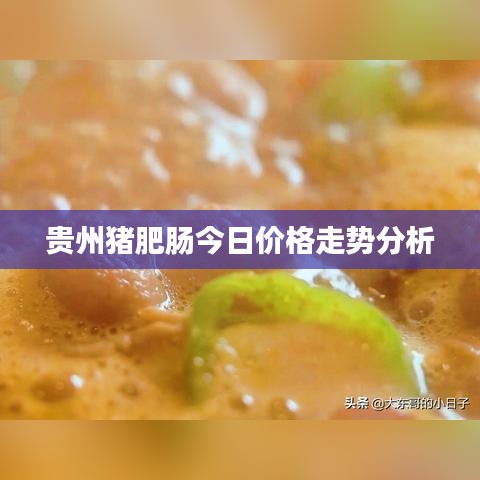 貴州豬肥腸今日價(jià)格走勢(shì)分析