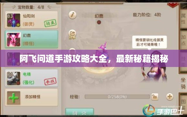 阿飛問道手游攻略大全，最新秘籍揭秘