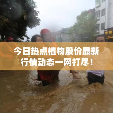 風(fēng)馳電掣 第3頁(yè)