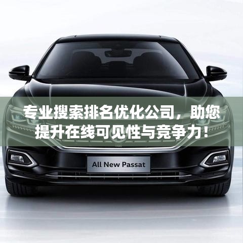 專業(yè)搜索排名優(yōu)化公司，助您提升在線可見性與競爭力！