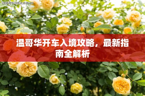 溫哥華開車入境攻略，最新指南全解析