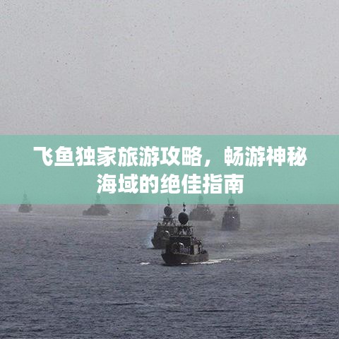 飛魚獨家旅游攻略，暢游神秘海域的絕佳指南
