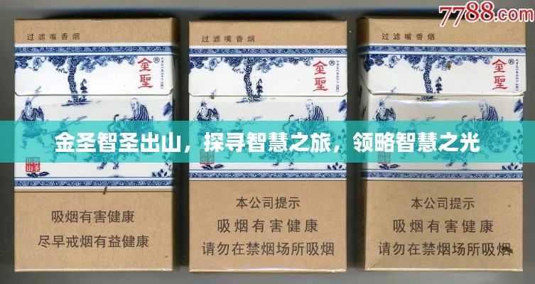 沉厚寡言 第4頁