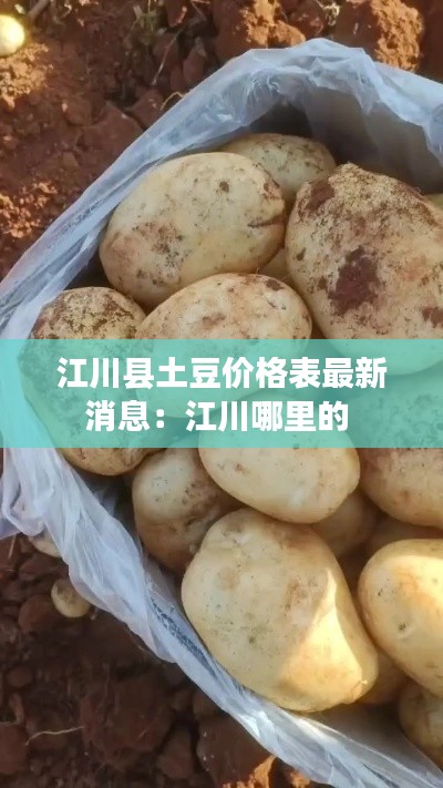 走馬觀花 第3頁(yè)