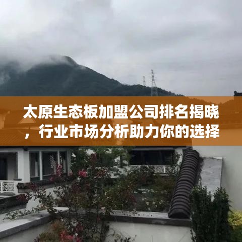 太原生態(tài)板加盟公司排名揭曉，行業(yè)市場分析助力你的選擇！