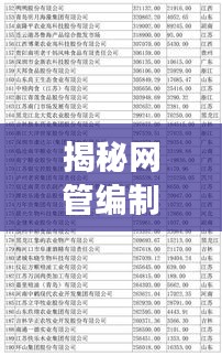 揭秘網(wǎng)管編制廠家排名前十強榜單！