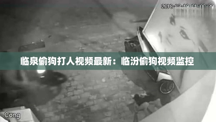 臨泉偷狗打人視頻最新：臨汾偷狗視頻監(jiān)控 
