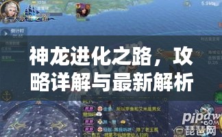 神龍進(jìn)化之路，攻略詳解與最新解析