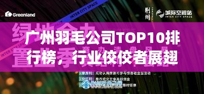 廣州羽毛公司TOP10排行榜，行業(yè)佼佼者展翅高飛領(lǐng)航未來