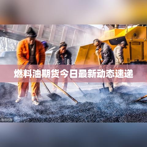 燃料油期貨今日最新動態(tài)速遞