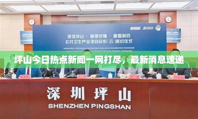 坪山今日熱點新聞一網打盡，最新消息速遞