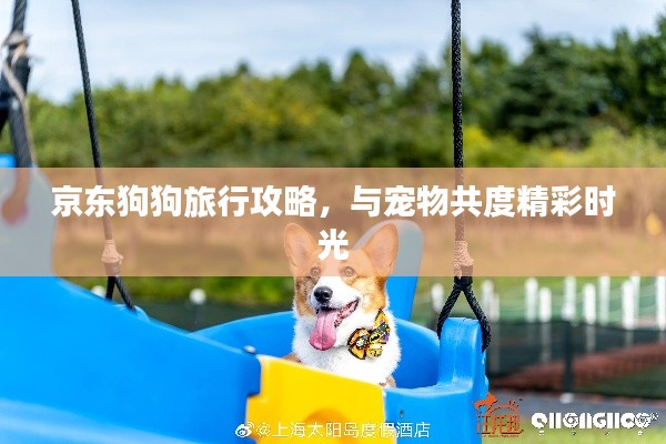 京東狗狗旅行攻略，與寵物共度精彩時光