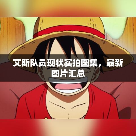 艾斯隊員現(xiàn)狀實拍圖集，最新圖片匯總