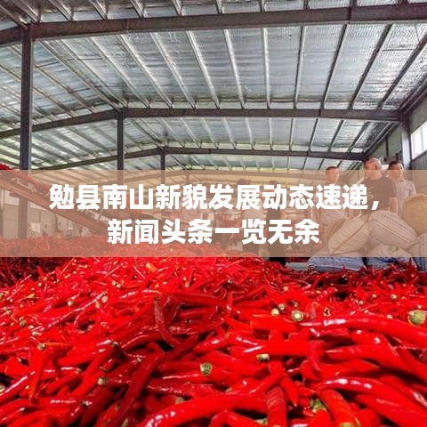 勉縣南山新貌發(fā)展動態(tài)速遞，新聞頭條一覽無余