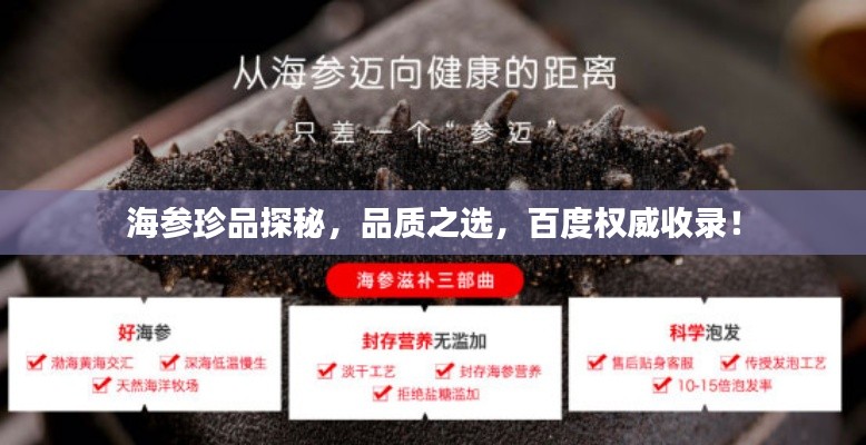 海參珍品探秘，品質(zhì)之選，百度權(quán)威收錄！