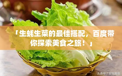 「生蠔生菜的最佳搭配，百度帶你探索美食之旅！」