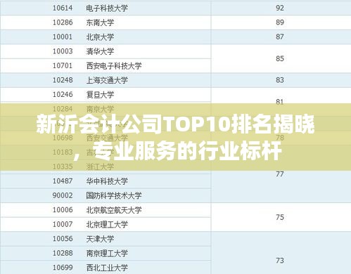 新沂會(huì)計(jì)公司TOP10排名揭曉，專業(yè)服務(wù)的行業(yè)標(biāo)桿