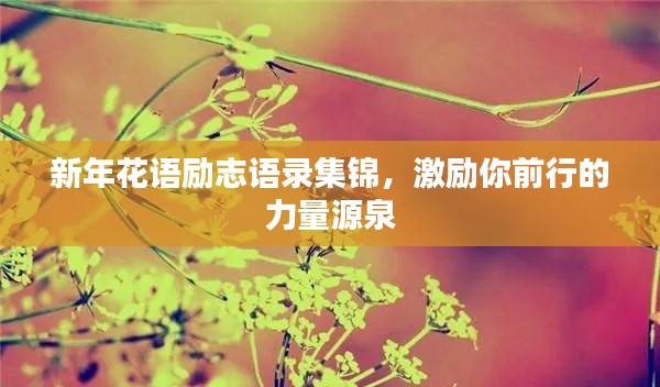 新年花語(yǔ)勵(lì)志語(yǔ)錄集錦，激勵(lì)你前行的力量源泉