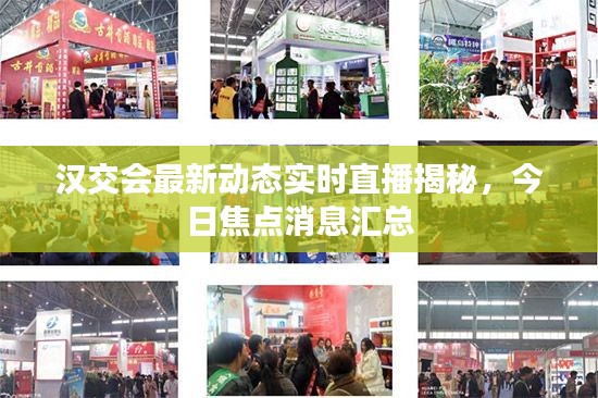 漢交會最新動態(tài)實時直播揭秘，今日焦點消息匯總