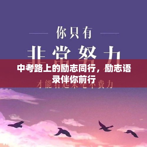 中考路上的勵志同行，勵志語錄伴你前行