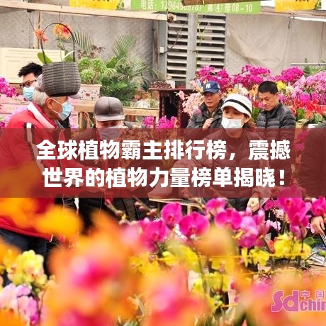 全球植物霸主排行榜，震撼世界的植物力量榜單揭曉！