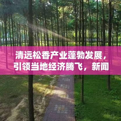 清遠(yuǎn)松香產(chǎn)業(yè)蓬勃發(fā)展，引領(lǐng)當(dāng)?shù)亟?jīng)濟(jì)騰飛，新聞?lì)^條揭秘松香魅力