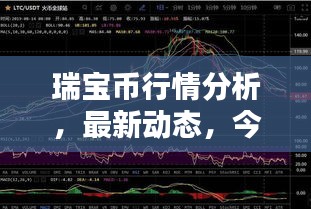 瑞寶幣行情分析，最新動(dòng)態(tài)，今日走勢一網(wǎng)打盡！
