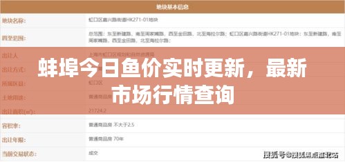 蚌埠今日魚價實(shí)時更新，最新市場行情查詢