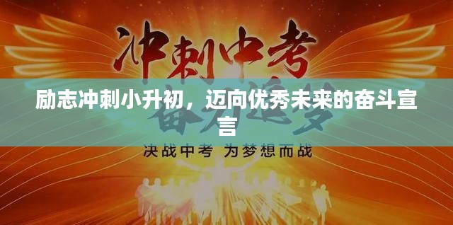 勵(lì)志沖刺小升初，邁向優(yōu)秀未來(lái)的奮斗宣言