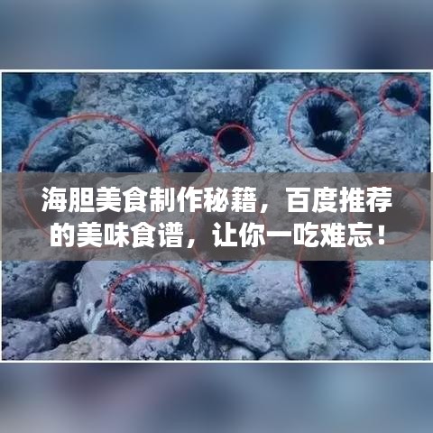 海膽美食制作秘籍，百度推薦的美味食譜，讓你一吃難忘！