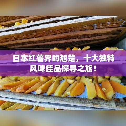 日本紅薯界的翹楚，十大獨(dú)特風(fēng)味佳品探尋之旅！