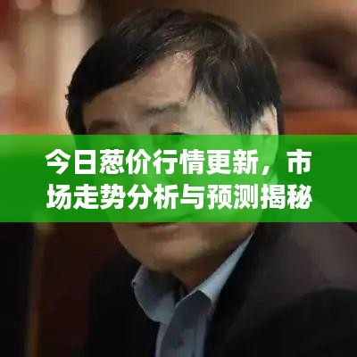 今日蔥價(jià)行情更新，市場走勢分析與預(yù)測揭秘