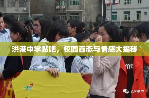 洪港中學(xué)貼吧，校園百態(tài)與情感大揭秘