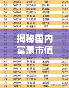 揭秘國內(nèi)富豪市值排名前十，誰是真正的億萬富翁？