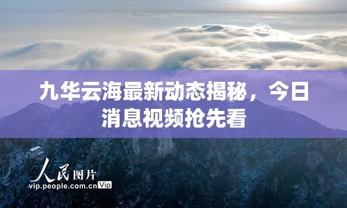 九華云海最新動態(tài)揭秘，今日消息視頻搶先看