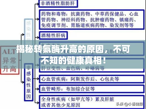 犯而不校 第3頁