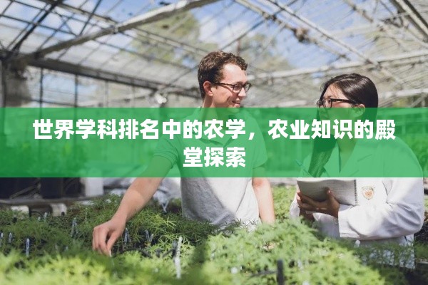 世界學(xué)科排名中的農(nóng)學(xué)，農(nóng)業(yè)知識(shí)的殿堂探索