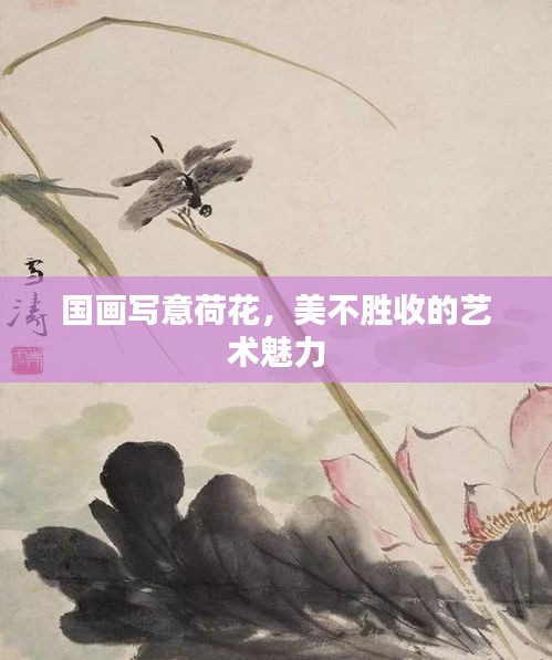 國(guó)畫寫意荷花，美不勝收的藝術(shù)魅力