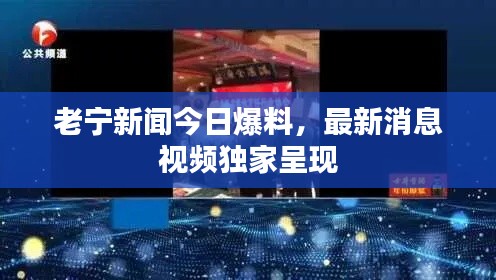 老寧新聞今日爆料，最新消息視頻獨家呈現(xiàn)