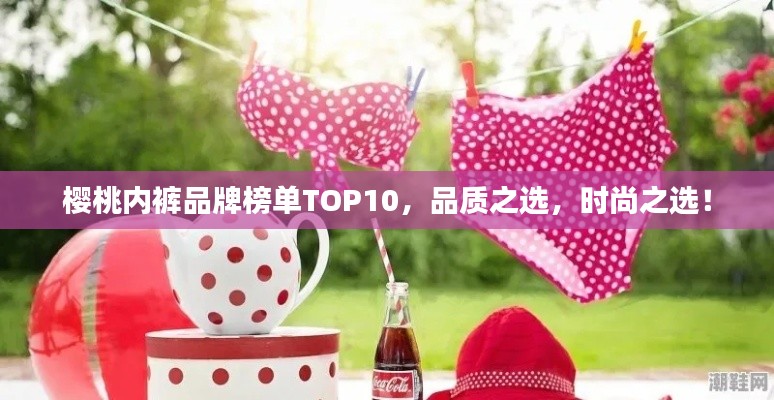 櫻桃內(nèi)褲品牌榜單TOP10，品質(zhì)之選，時(shí)尚之選！