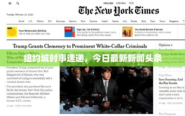 紐約城時(shí)事速遞，今日最新新聞?lì)^條