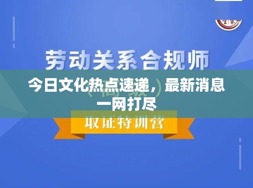 今日文化熱點(diǎn)速遞，最新消息一網(wǎng)打盡