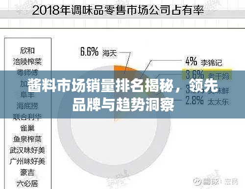 醬料市場(chǎng)銷(xiāo)量排名揭秘，領(lǐng)先品牌與趨勢(shì)洞察
