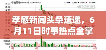孝感新聞頭條速遞，6月11日時事熱點全掌握