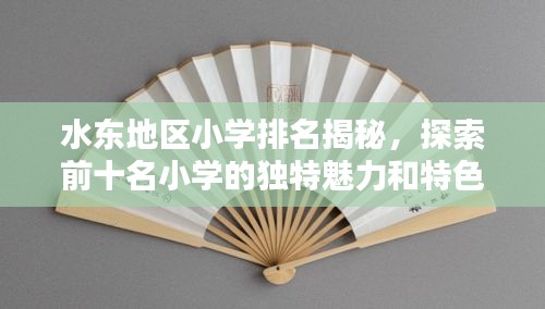 水東地區(qū)小學(xué)排名揭秘，探索前十名小學(xué)的獨特魅力和特色教育之路