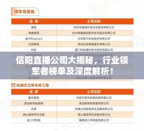 信陽直播公司大揭秘，行業(yè)領軍者榜單及深度解析！